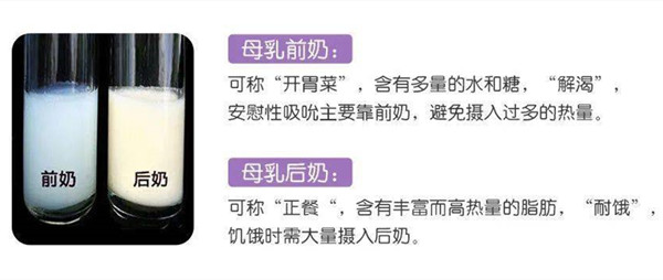 北京月嫂公司科普：前奶与后奶的区别？ (图3)